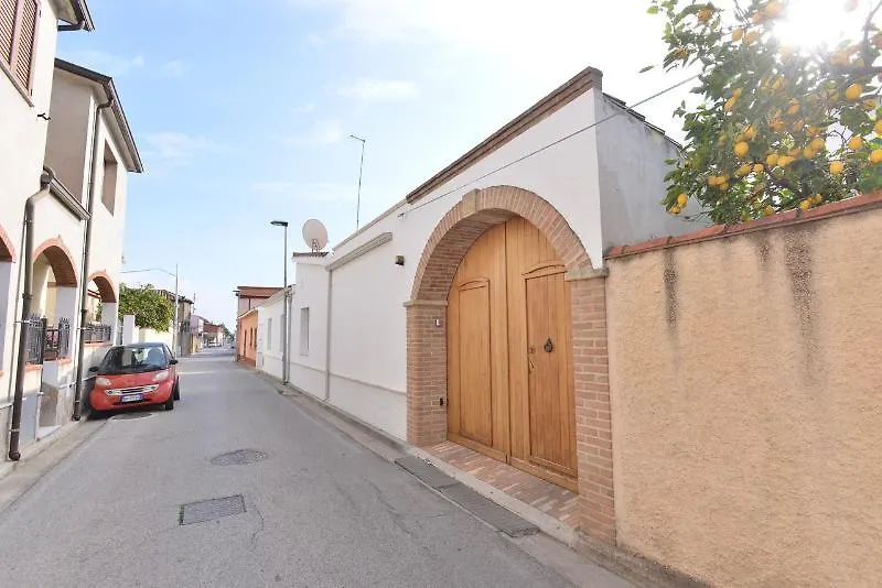 Izzhome New One Pula